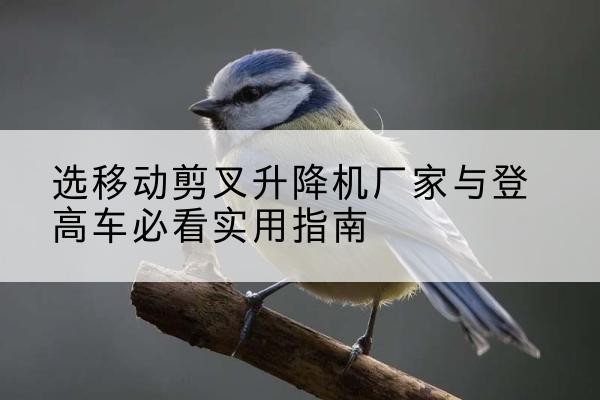 海晏电动升降机厂家-选移动剪叉升降机厂家与登高车必看实用指南