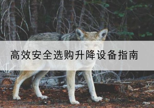 海晏升降货梯厂家推荐-*安全选购升降设备指南