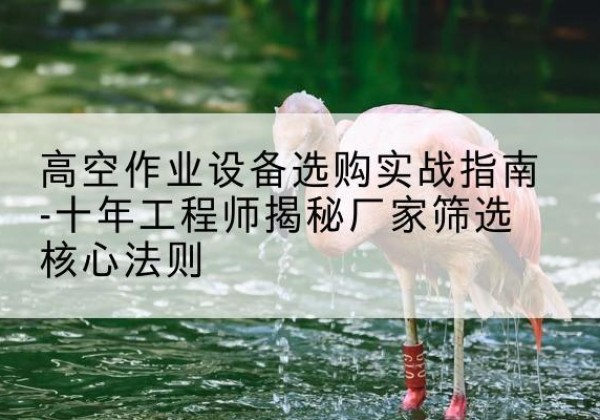 海晏剪叉式升降机厂家-高空作业设备选购实战指南-十年工程师揭秘厂家筛选核心法则