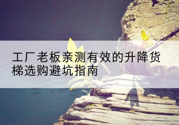 海晏升降货梯怎么选-工厂老板亲测有效的升降货梯选购避坑指南